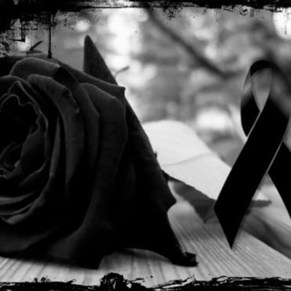 Meet your Posher, Adriana - Picture 1 of 1